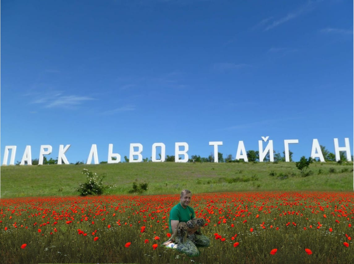 Парк Львов Тайган карта