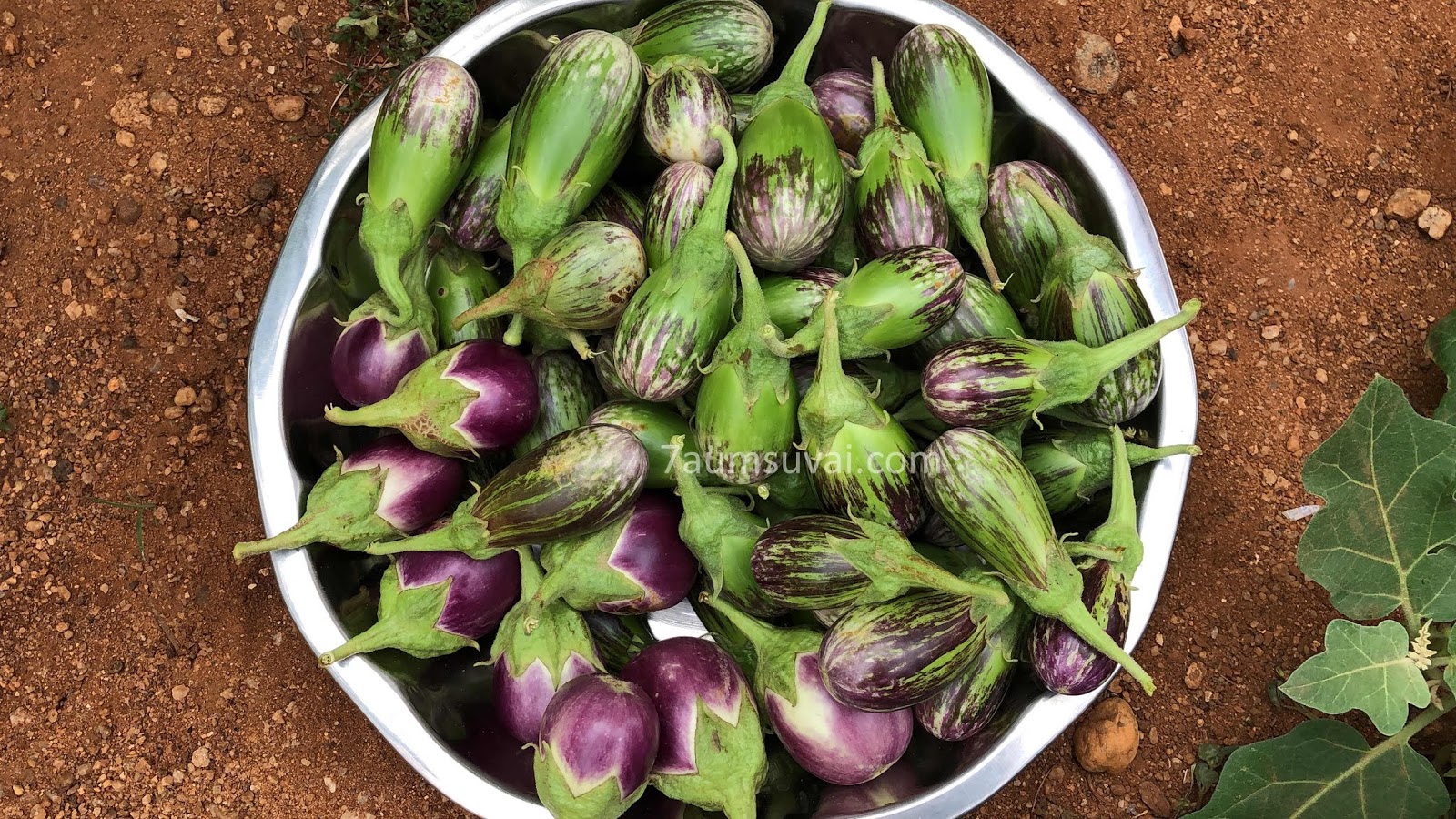 Amma’s Kathrikkai curry/ Brinjal curry / Village style brinjal curry