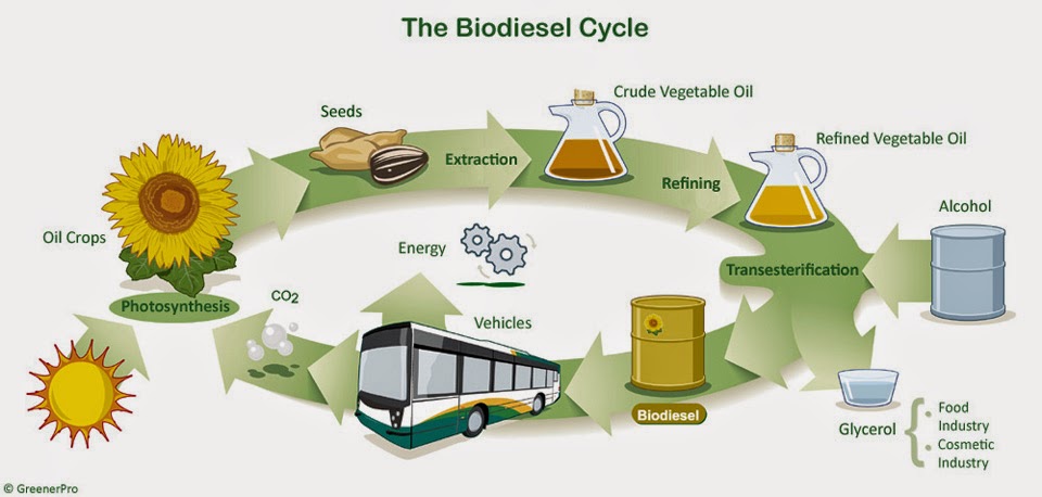 Chemistry In Line: Contoh Makalah Biodiesel