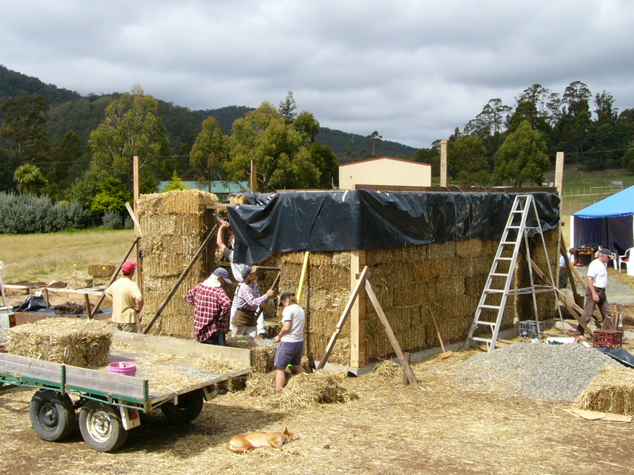 Евгений широков строительство соломенных домов