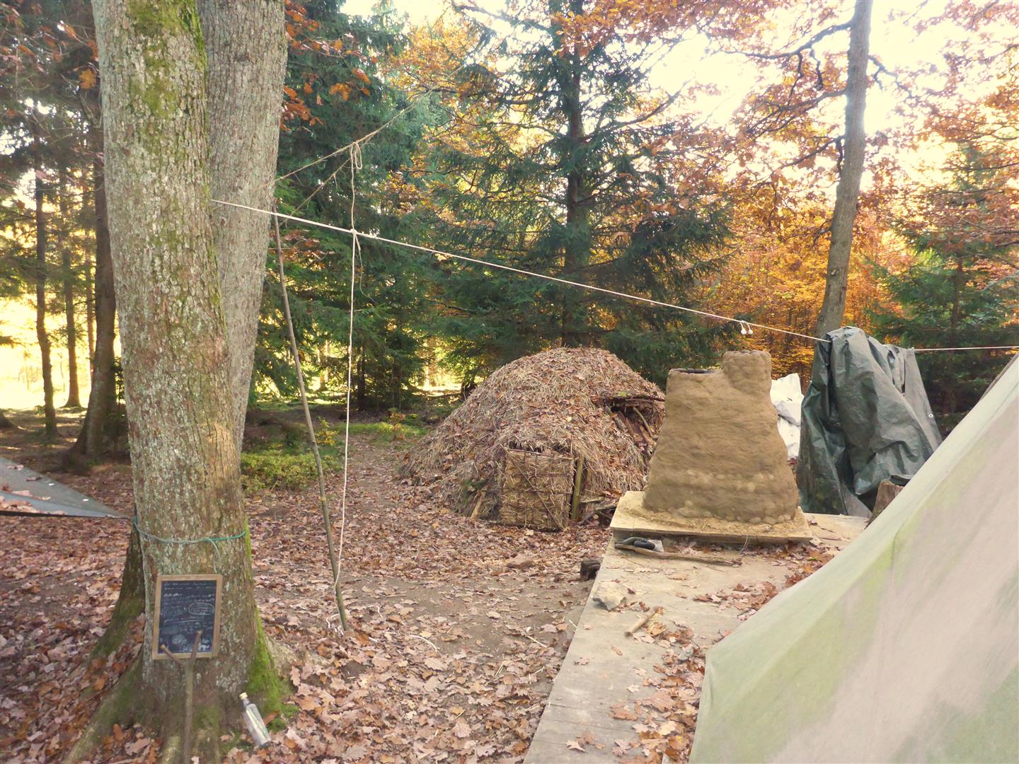 Cinny Home Produkttest Odenwald Fruchte