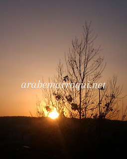 arabemarroqui.net