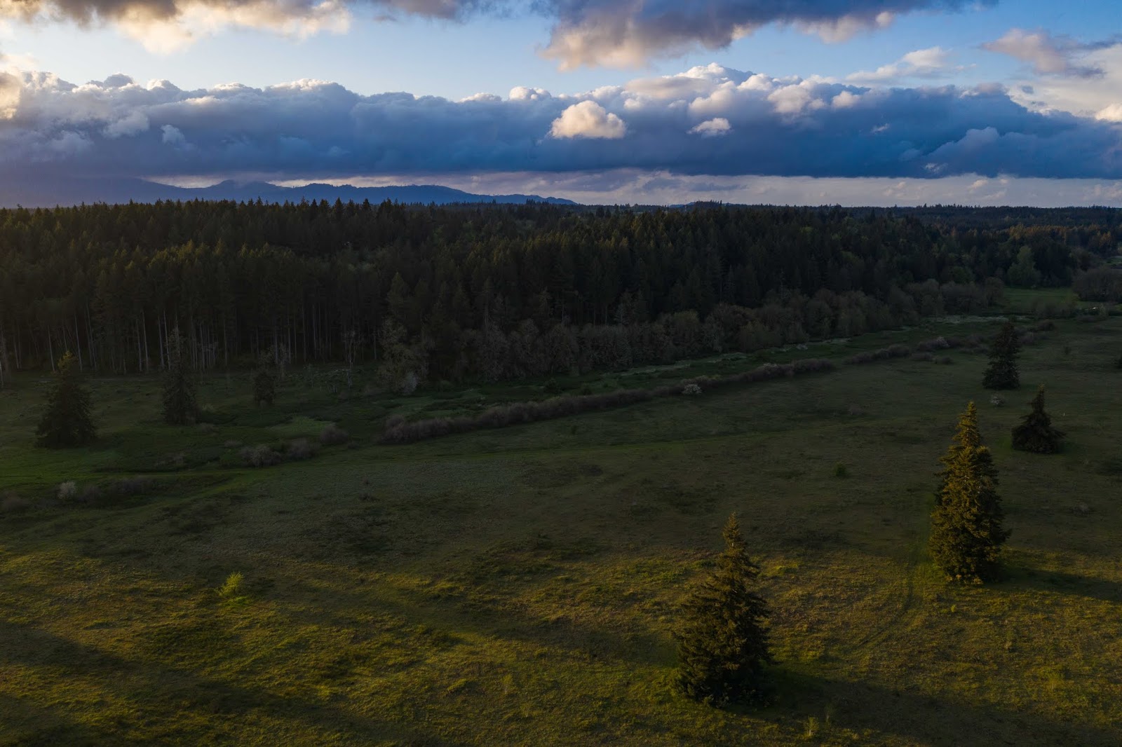 Illuminations From The Attic Prairies Of South Puget Sound Flying Illuminations From The Attic Prairies Of South Puget Sound Flying