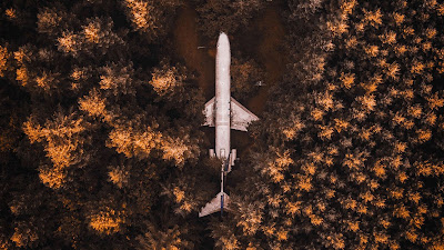 Plane, Forest, Trees, Aerial Photography