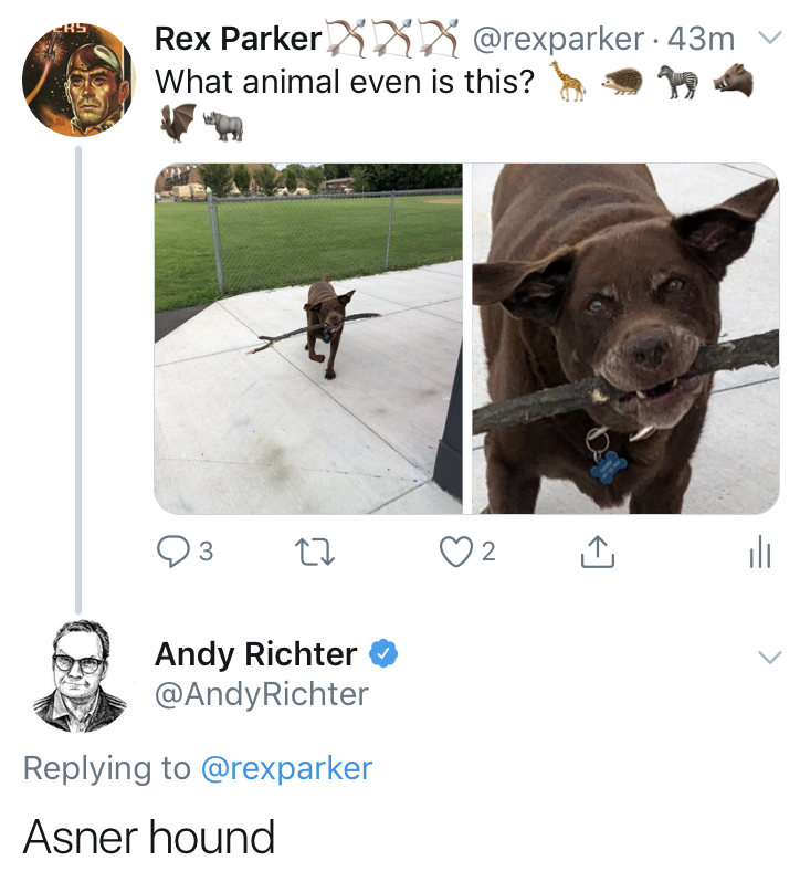 Rex Parker Does the NYT Crossword Puzzle: Mythical hunter turned into