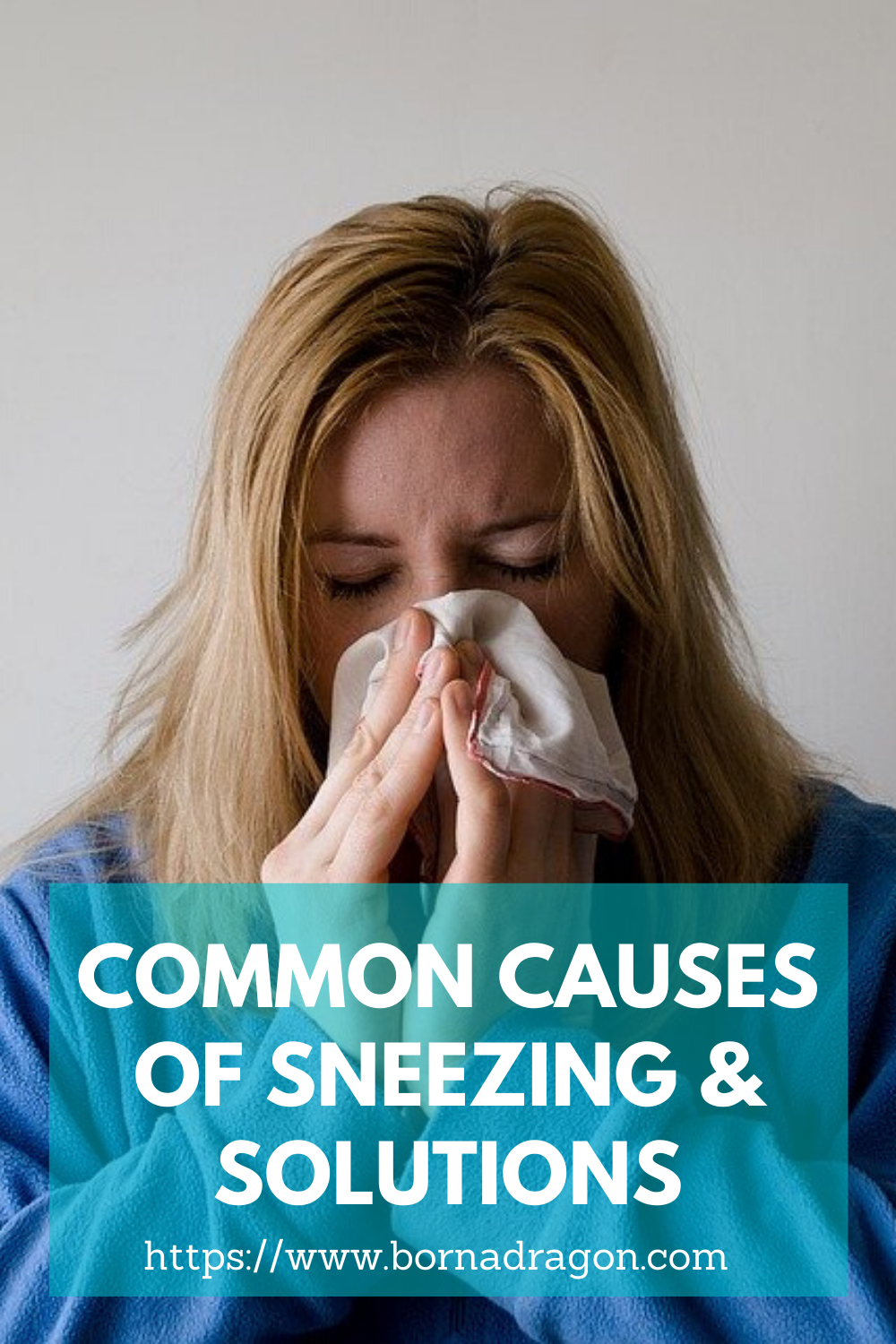 Common Causes Of Sneezing & Solutions Born a Dragon, Raised a Tiger