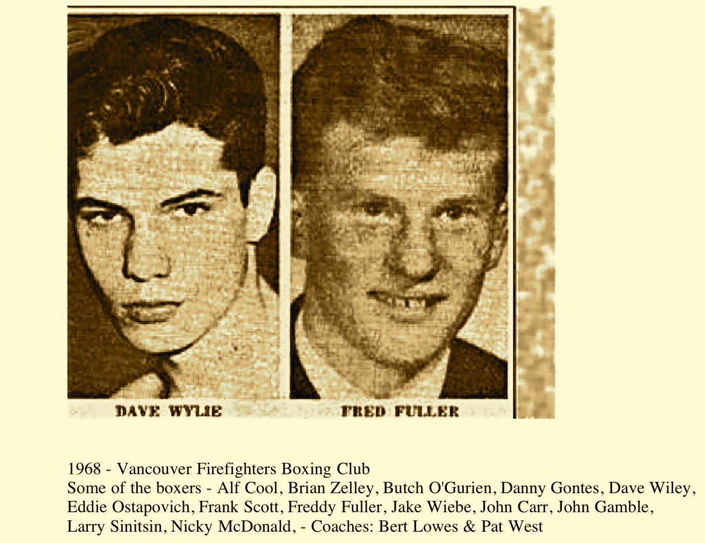 BRIAN ZELLEY Boxing buzz GOLDEN GLOVES