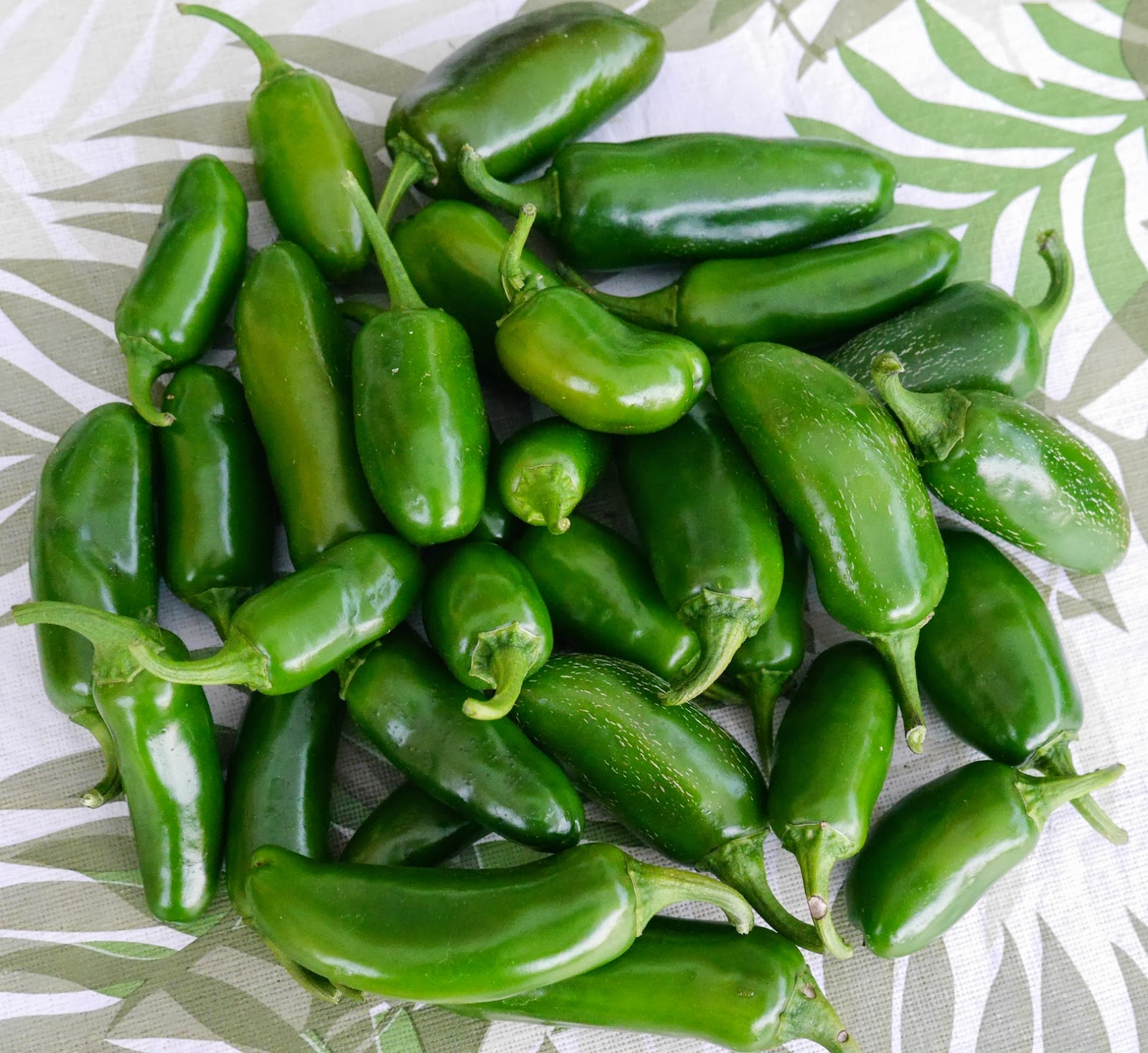 Foods For Long Life EasyToMake Pickled Jalapeño SlicesRefrigerate Or