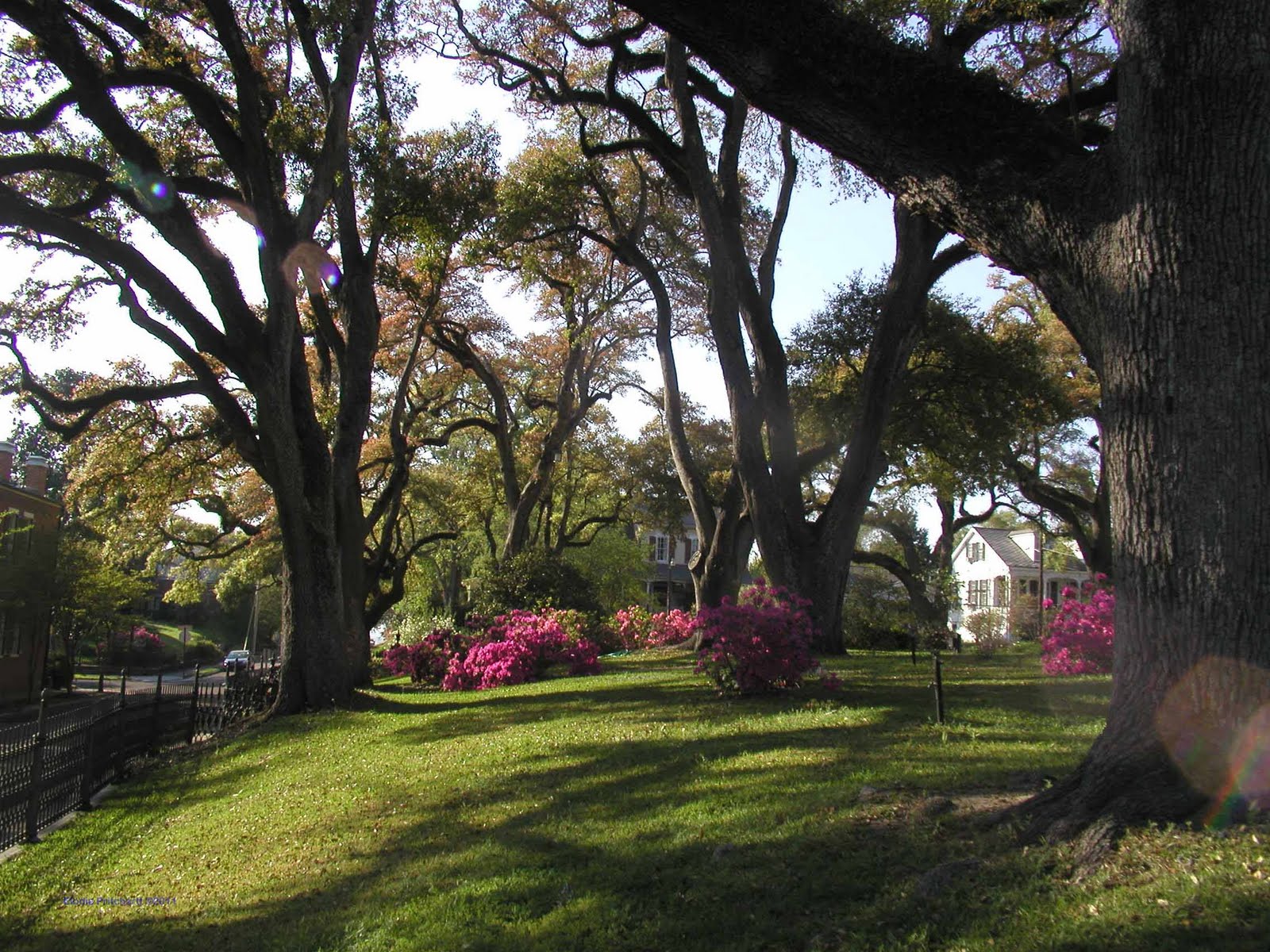 Shantybellum Stanton Hall