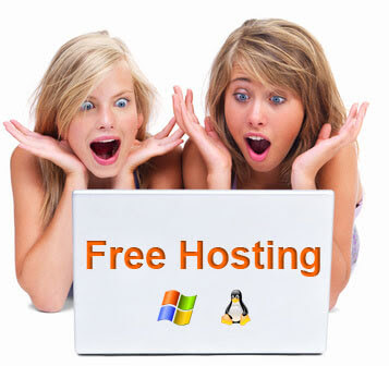 Free Hosting What is Free Hosting