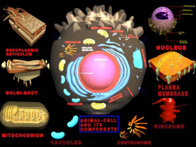 Manash (Subhaditya Edusoft): Cell : Cells Are the Units of any Living