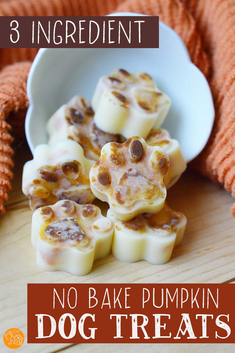 3 Ingredient Ridiculously Simple Pumpkin Dog Treats