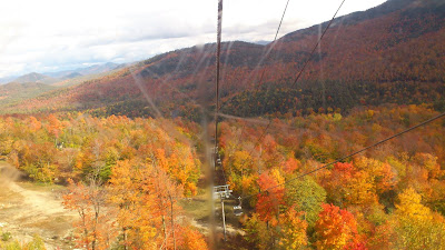 A view from Gondola at Vermont