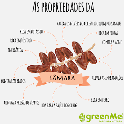 CONHECENDO A FRUTA TÂMARA