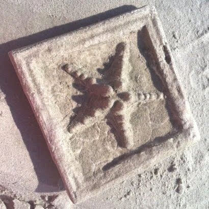 sand plaster mold of starfish
