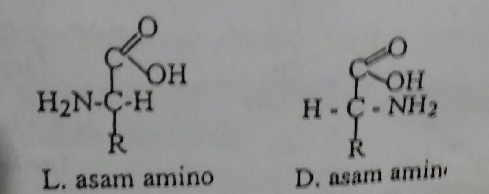 Pengertian Dan Struktur Protein Your Chemistry A