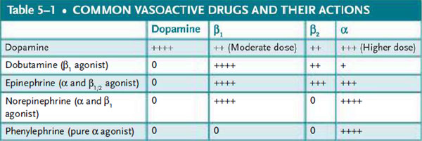 common vasoactive drugs and their actions