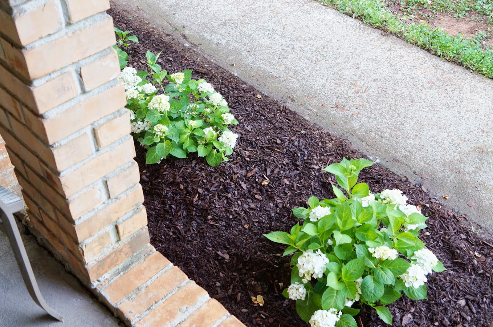 Don't Disturb This Groove Cleaning Out the Flower Bed