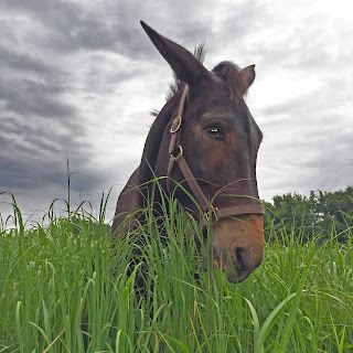 Doc photo after retouching with Photoshop