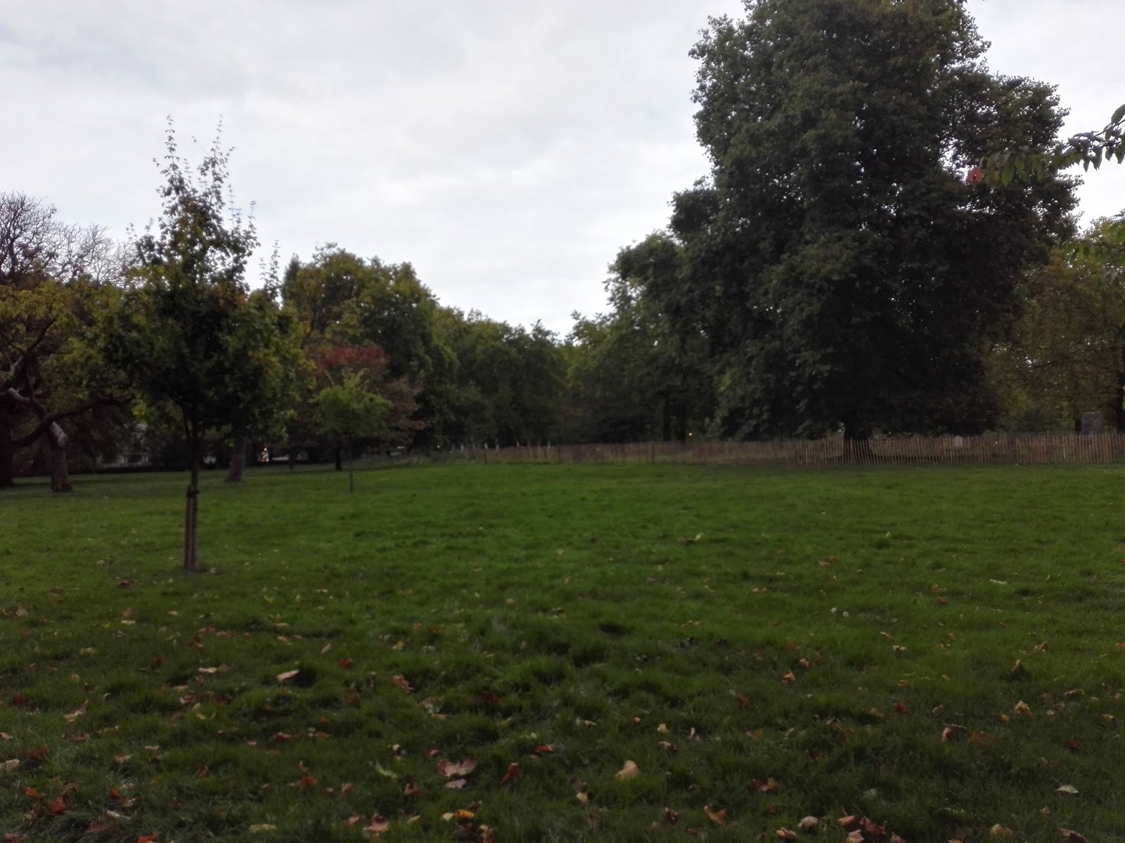 Green Park! random thoughts.....