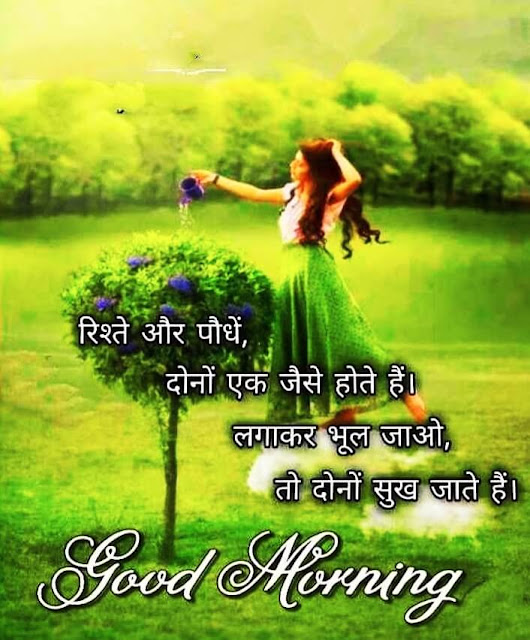 Good Morning Images For Whatsapp Good Morning Images For Whatsapp