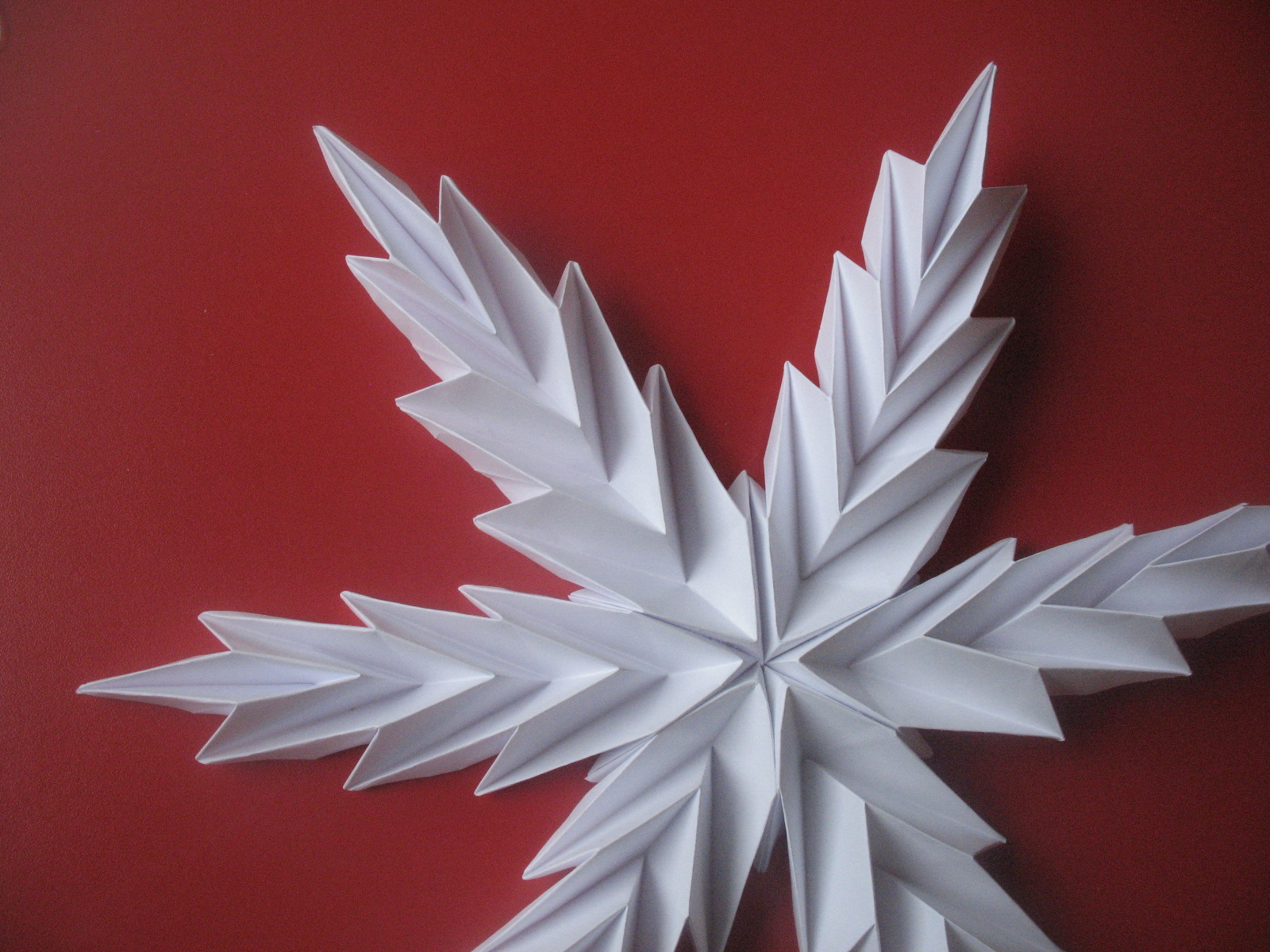 INTERFERENTE OrigamiCon de brad si fir crenguta de brad