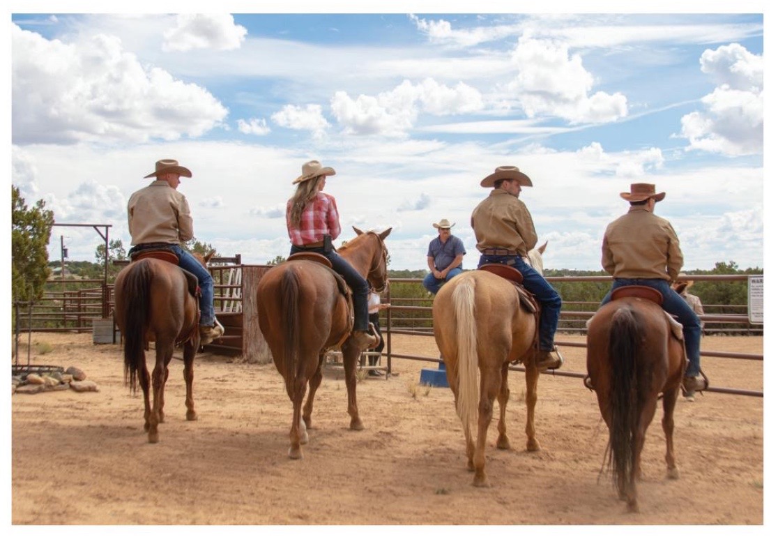 HORSES FOR HEROES New Mexico Cowboy Up! 5057982535 Listen to