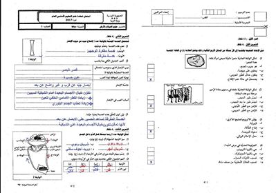 مودة اللئيم دلت على معين لانها