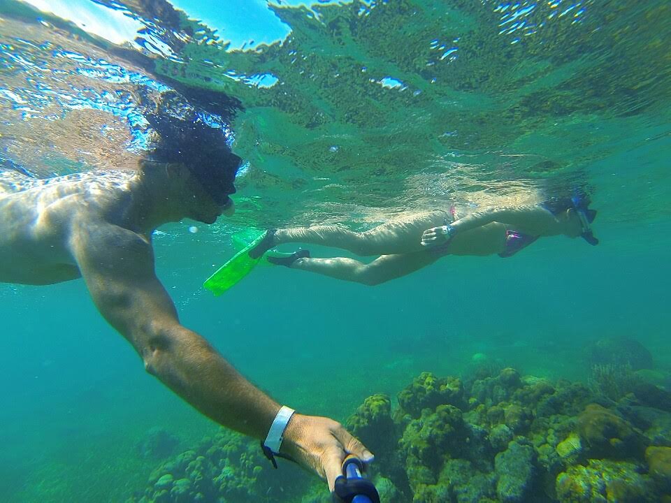 Paya Bay Resort - Roatan, Honduras : Exceptional Snorkeling