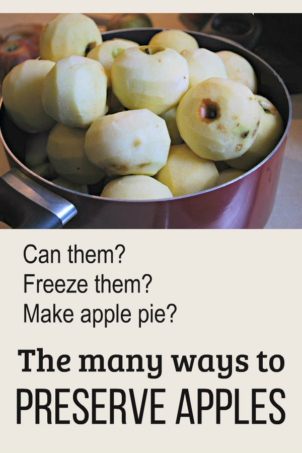 Guide to Preserving Apples Oak Hill Homestead