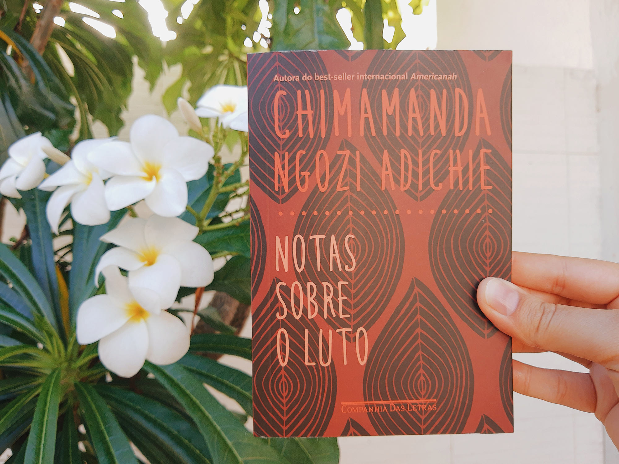 Chimamanda Ngozi Adichie Notas sobre o Luto