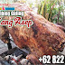 Kambing Guling di Cidadap