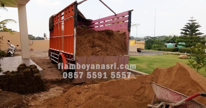 Harga Tanah Merah Per M3 Terbaru Tukang Taman Surabaya