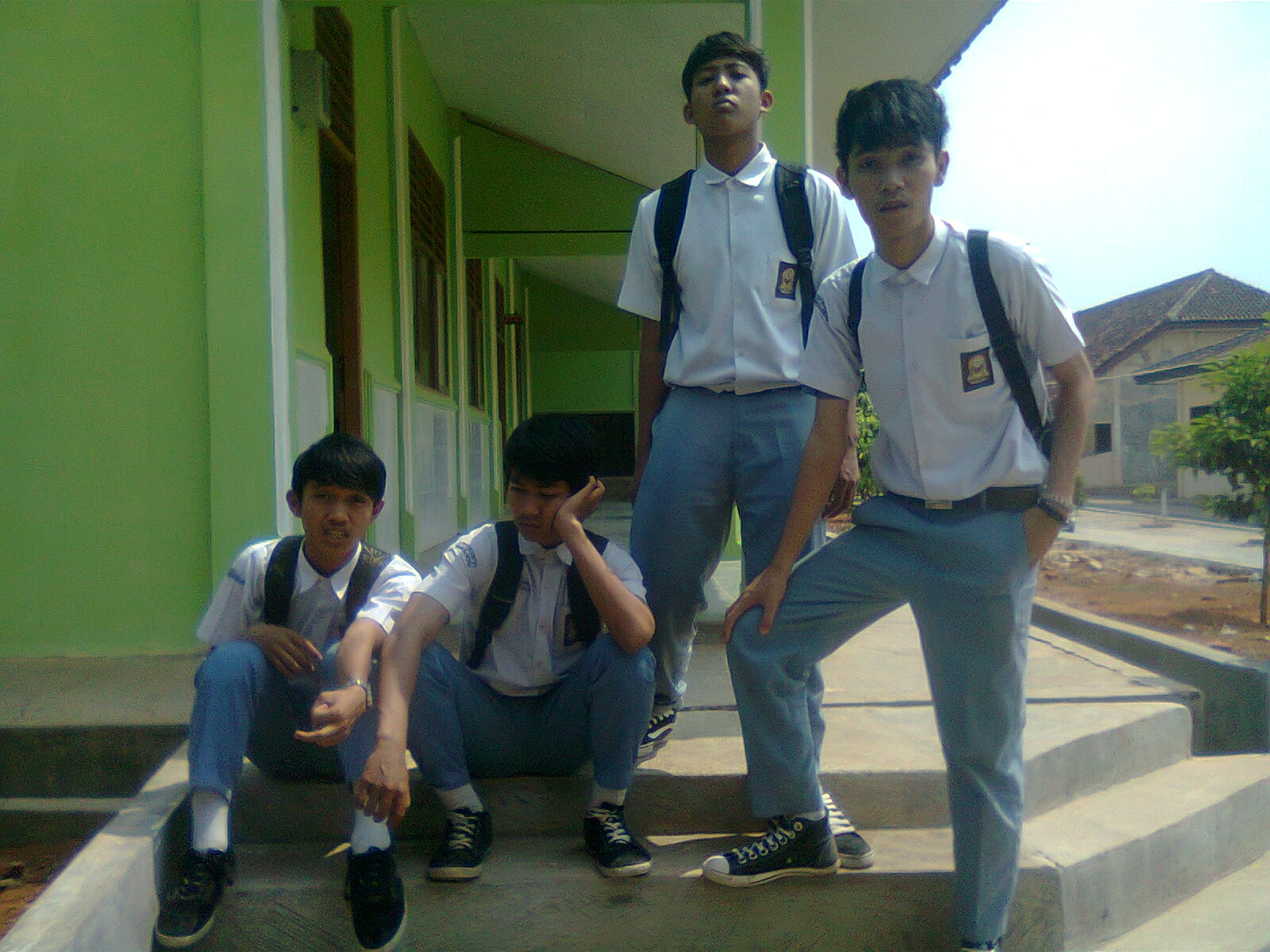 Smp ml. Brondong coli. Анак smp 14. Анак smp 14. Brondong coli.