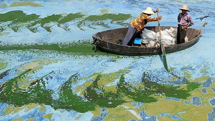 Искусство без обработки: удивительные фотографии и ни грамма Photoshop 12 Искусство без обработки: удивительные фотографии и ни грамма Photoshop 11