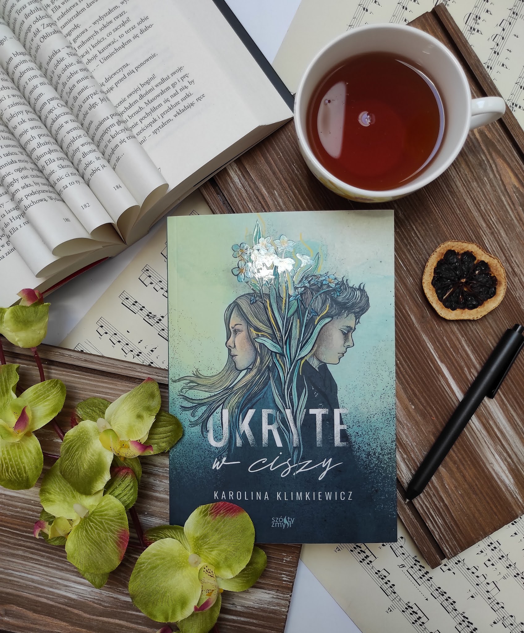 "Ukryte w ciszy" Karolina Kilmkiewicz - recenzja