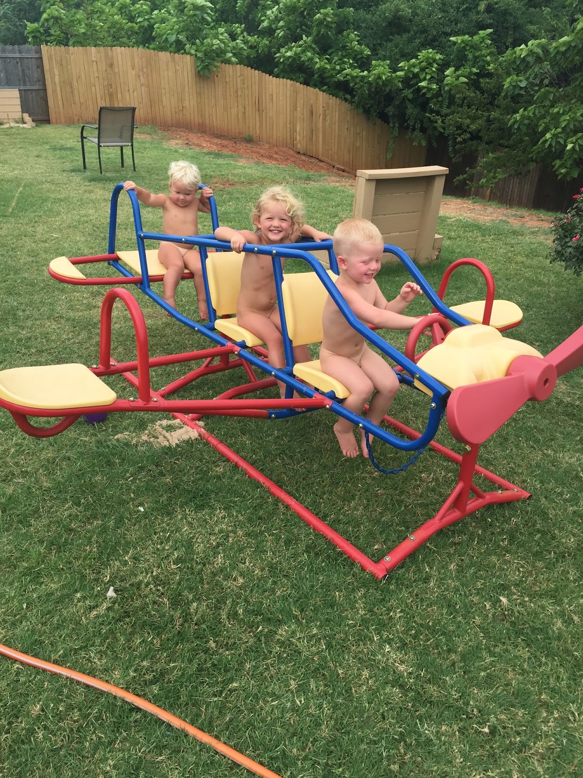 nickell-s-picture-a-day