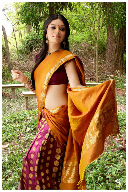 Kannada Actress Nisha Shetty Latest Pics In Saree 3