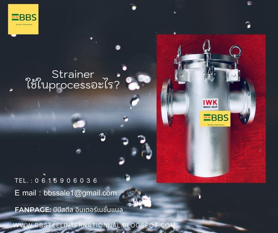 Strainer Process_Strainer Filter BB STEEL INTERNATIONNAL