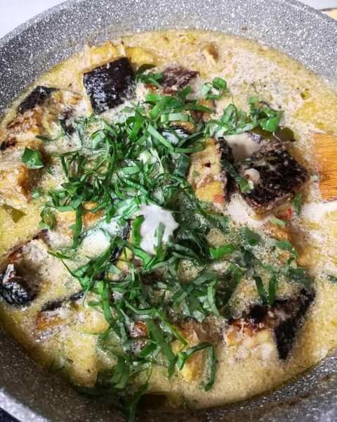 photo6258084619962396713.jpg (480×600)