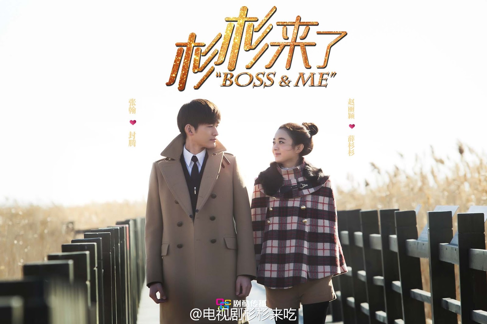 Boss and Me (2014) | DramaPanda