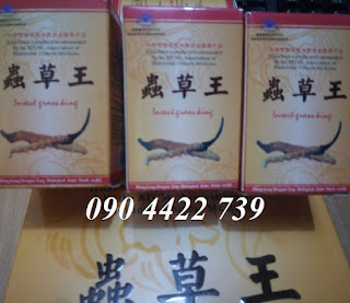 viên nang trùng thảo viên nang trùng thảo