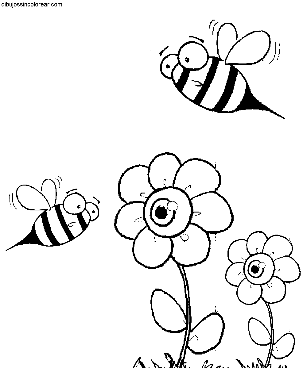 Dibujos Sin Colorear: Dibujos de Flores para Colorear