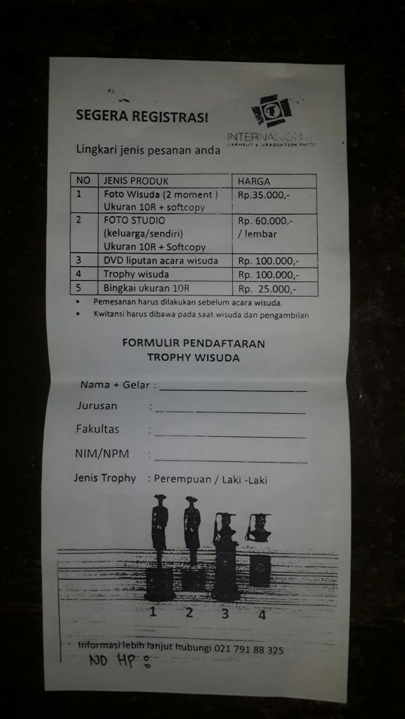 World bank api image