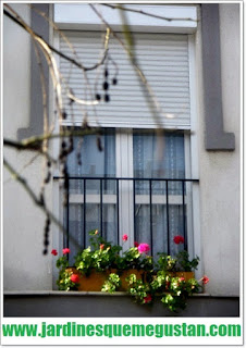 Jardines Que Me Gustan: Jardines verticales: El balcón