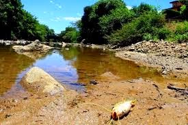 PROTEÇÃO AOS MANANCIAIS, RIOS E CURSOS D'ÁGUA