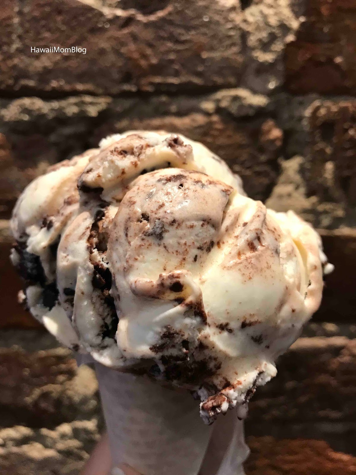 Hawaii Mom Blog Visit Nashville Mike's Ice Cream & Coffee Bar