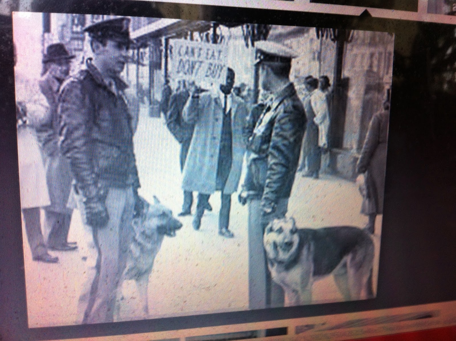 THE BLACK SOCIAL HISTORY BLACK SOCIAL HISTORY BOYNTON v. VIRGINIA