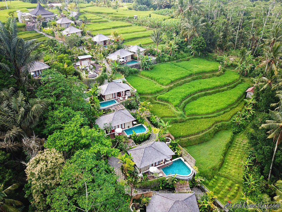 20 Biệt thự Villa Bali Indonesia giá rẻ đẹp view biển, có hồ bơi