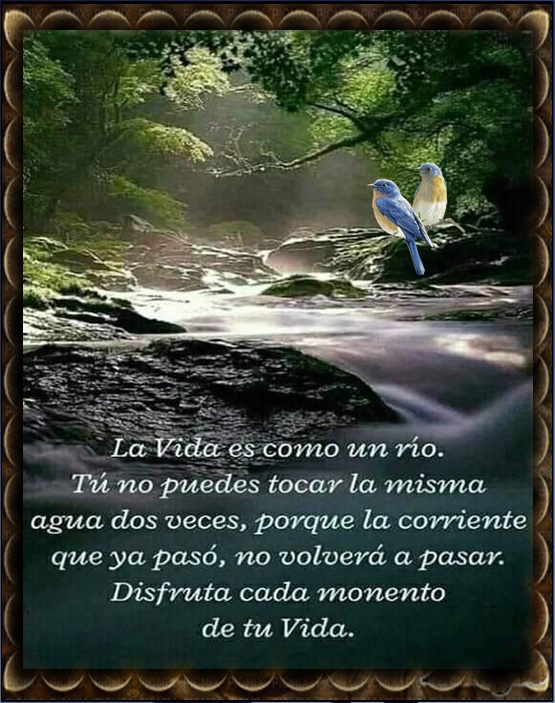 Sueños de Amor Y Magia: La vida es como un río.